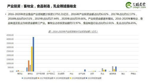 逆势上涨 2020年中国农业食品投资年报